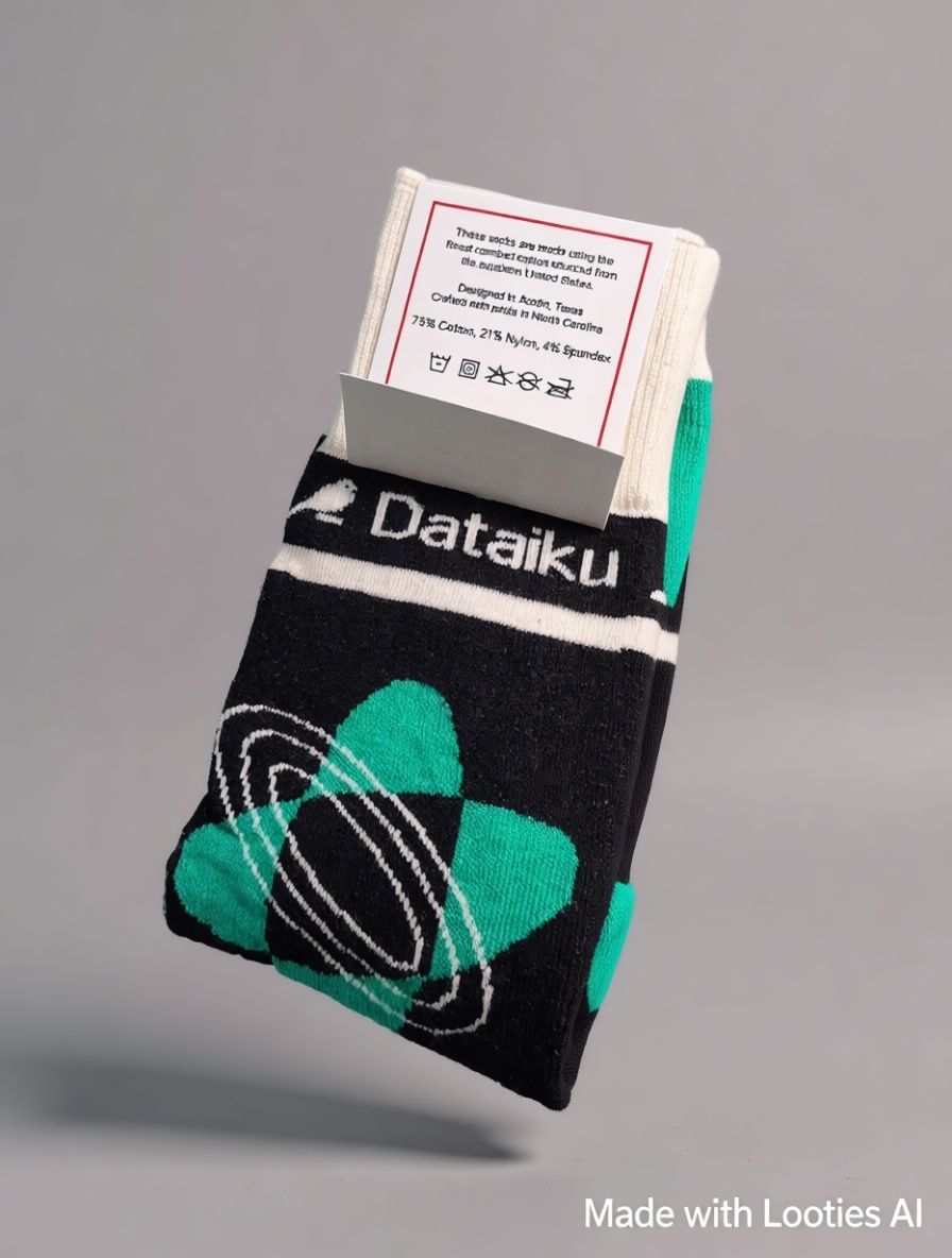 Dataiku Socks - 1